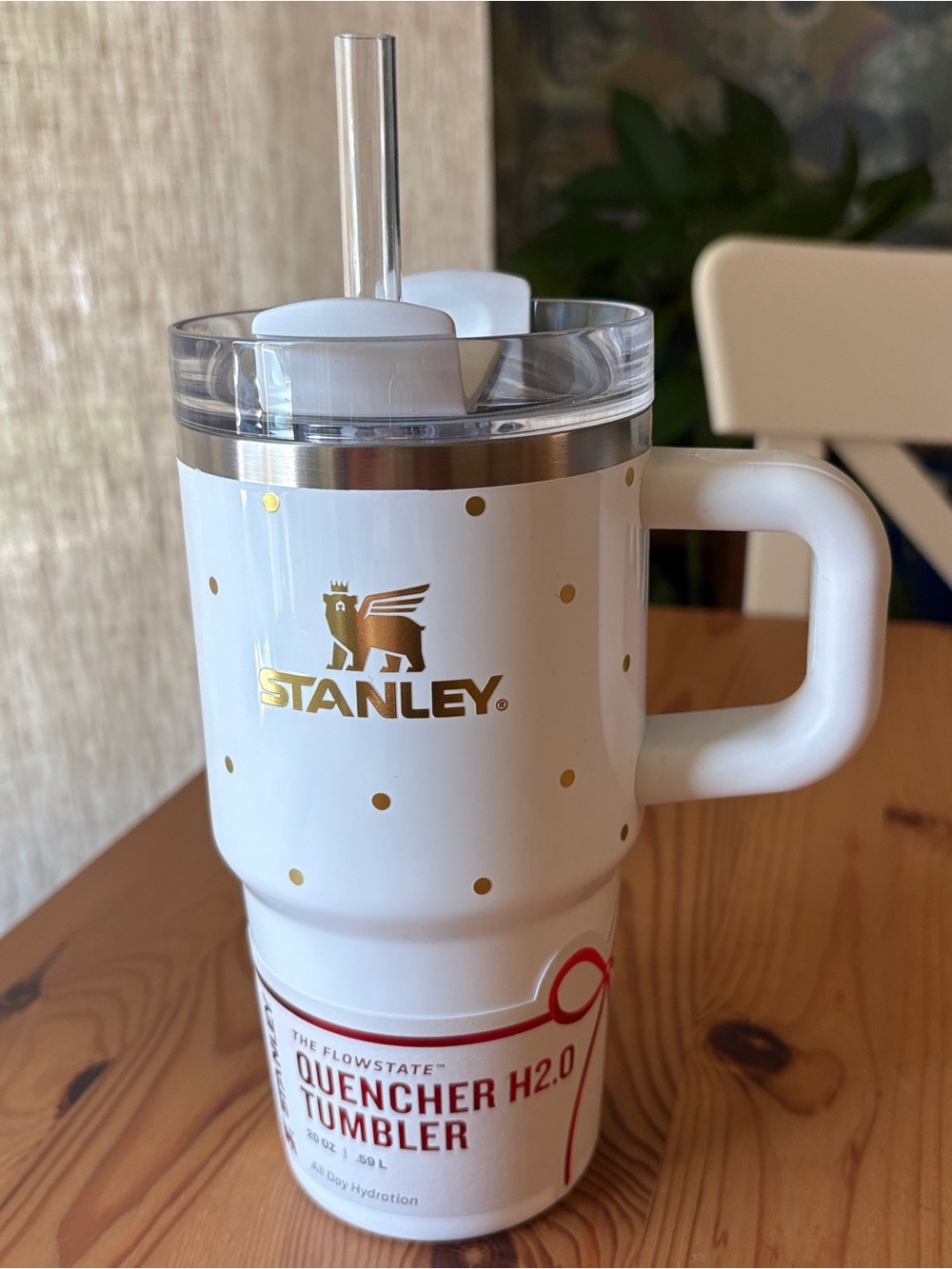 Stanley 20oz Quencher Target Exclusive Release Frost Polka Dot NWT